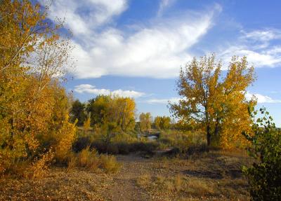 south_platte_valley