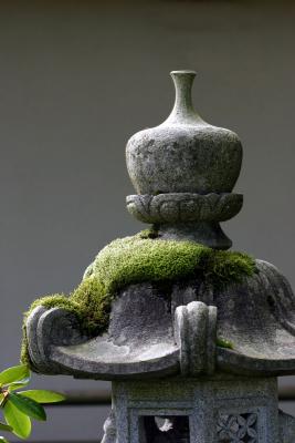 japanese garden