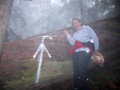 Lynn pointing the way over an old growth cedar blocking the trail