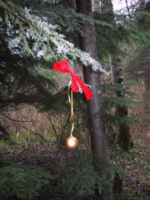 Trail Marking by Leah