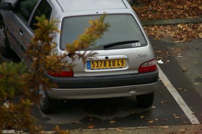1/100s f/5.6 at 300.0mm iso200