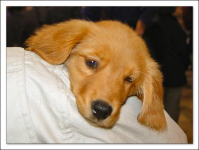 101704 Darby