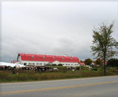 Dairy barn