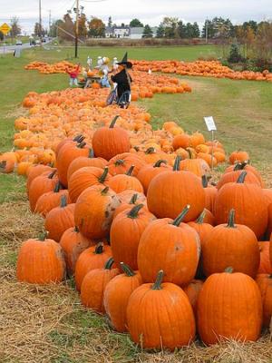 Pumpkins