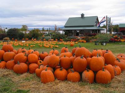 Pumpkins