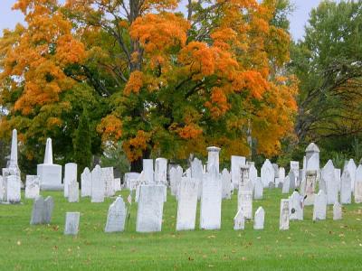 Autumn trees and cemetery