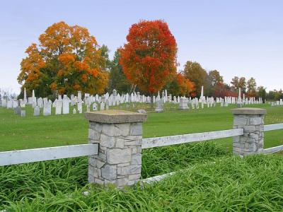 Autumn trees and cemetery