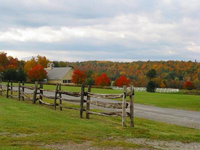 Autumn view