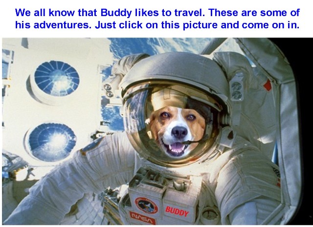 BUDDY THE ASTRONAUT