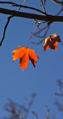 101604_CRW_5144.jpg