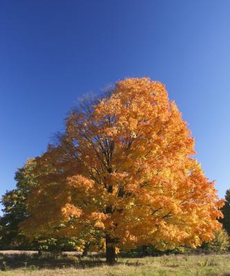 101804_CRW_5167.jpg