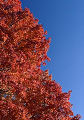 101804_CRW_5168.jpg