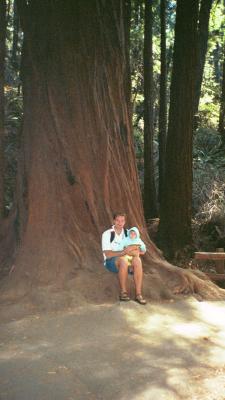 Because I didn't cut down the whole tree, it'll still be alive in a hundred years.