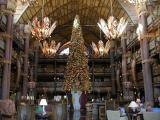 Animal Kingdom Lodge