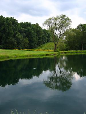 IMG_0308sm.jpg