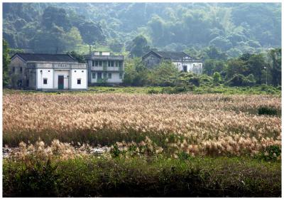 rural charm  yM۱o