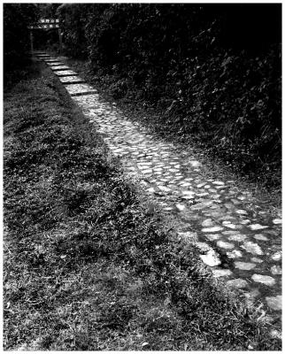 direct path  