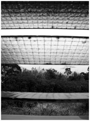 TZ~  Taking picture while taking a pee.  A shot taken inside a rural toilet.  Maximizing the outdoor time the best I could.