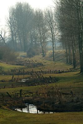 DSCF0573_1.jpg
