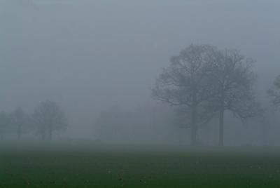 DSCF7608.jpg