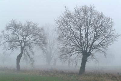 DSCF7612.jpg