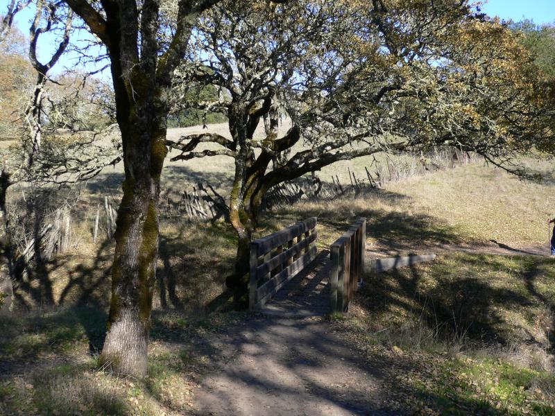 SonomaAutumn1.jpg