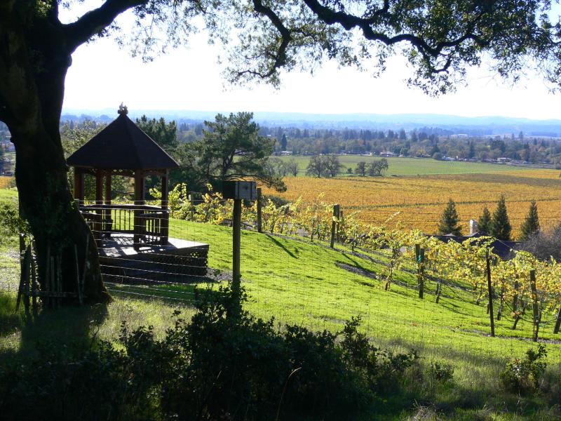 SonomaAutumn3.jpg