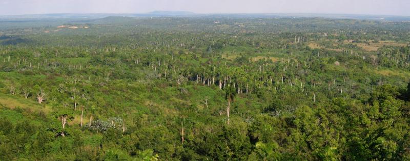 LasTerrazas3.jpg