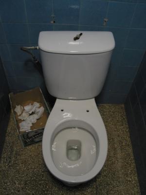 toilette.jpg