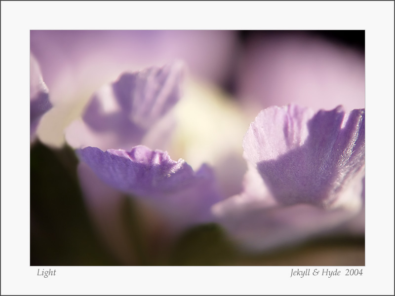 Light