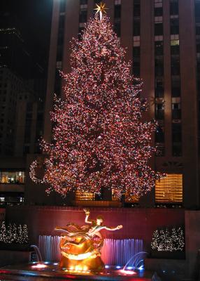 182-8294_IMG.jpg