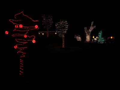 Christmas Lights