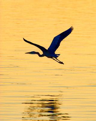 _MG_9758.jpg