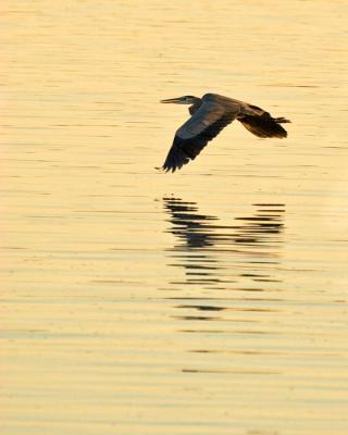 _MG_9765.jpg