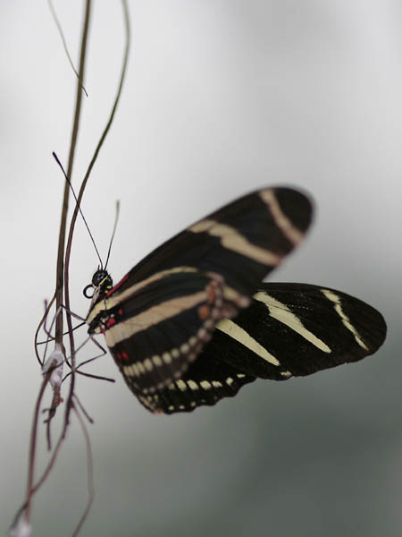 IMG_3854w.jpg