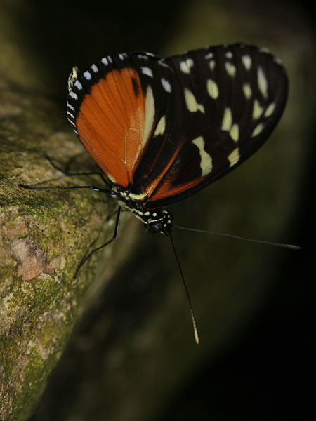 IMG_3875w.jpg
