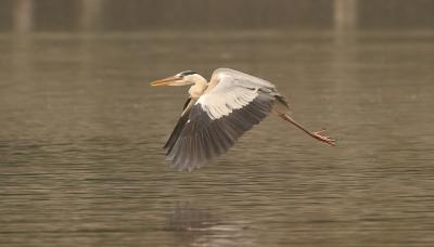 low level flight