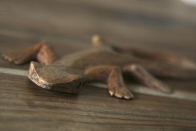 October 17 - wooden gecko