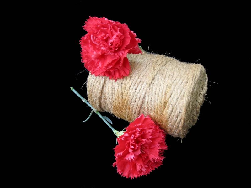 Carnation Twine