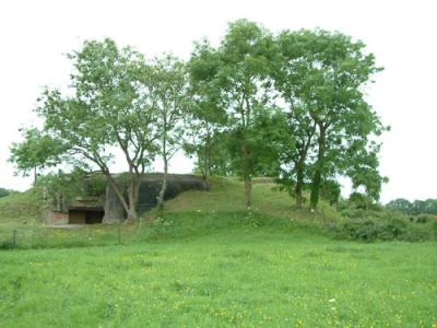 DSCF0192.jpg