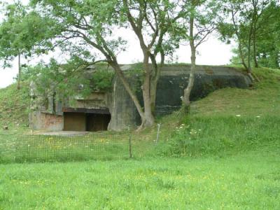 DSCF0194.jpg