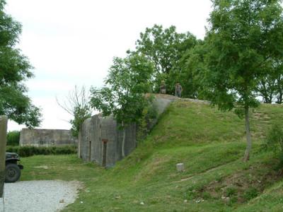 DSCF0203.jpg