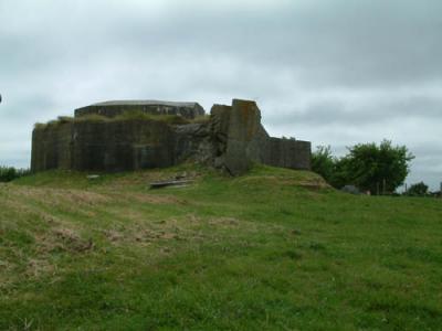DSCF0217.jpg