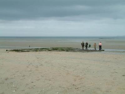 DSCF0278.jpg