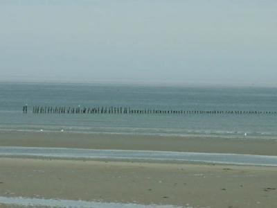 DSCF0283.jpg