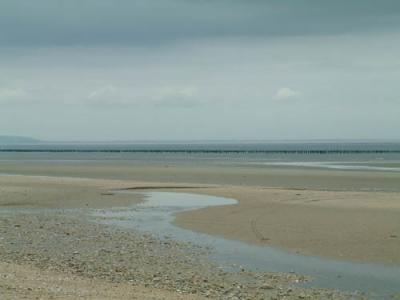 DSCF0284.jpg