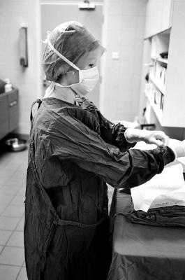 Scrub Nurse Donning Surgical Gloves