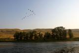 Bow River