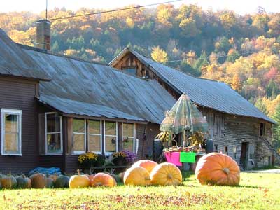 Pumpkin Haus