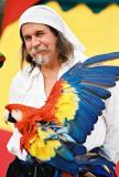 pirateparrott.jpg